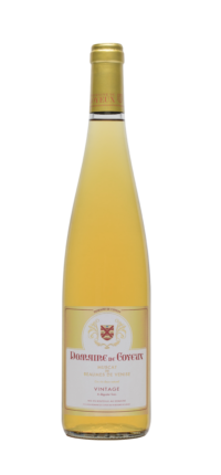 VIN-VINTAGE